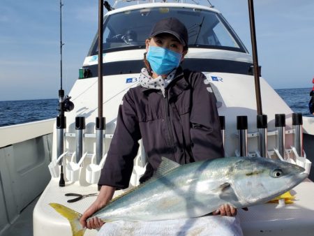 ブルーピア 釣果