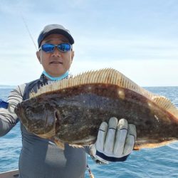 ブルーピア 釣果