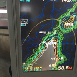 第八平成丸 釣果