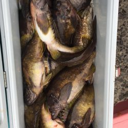 第八平成丸 釣果