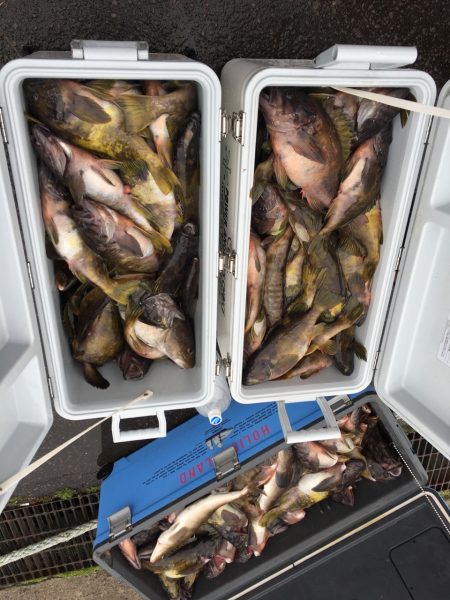 第八平成丸 釣果