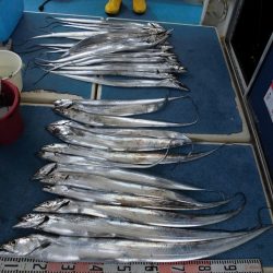 十八宝洋丸 釣果