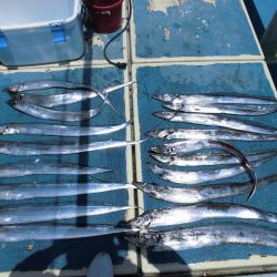 十八宝洋丸 釣果