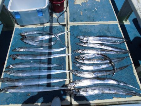 十八宝洋丸 釣果