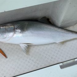 マタウマリンサービス 釣果