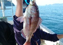 愛裕南丸 釣果