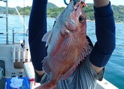 愛裕南丸 釣果