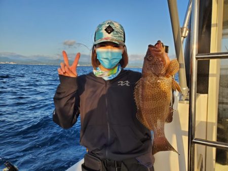 ブルーピア 釣果