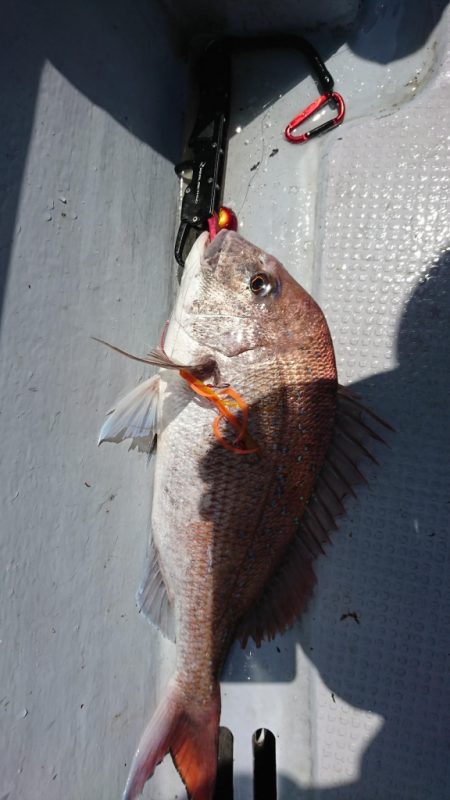 海龍丸（福岡） 釣果