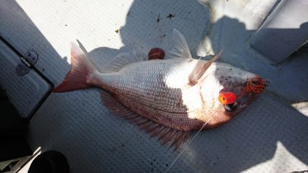 海龍丸（福岡） 釣果
