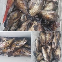 内浜丸 釣果