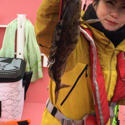 第八平成丸 釣果