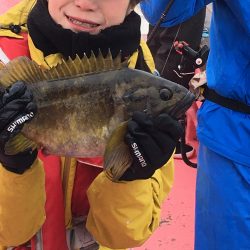 第八平成丸 釣果