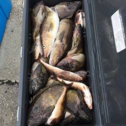 第八平成丸 釣果