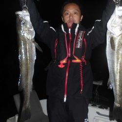 ルアー船マヒマヒ 釣果