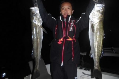 ルアー船マヒマヒ 釣果