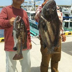 モンロー号 釣果