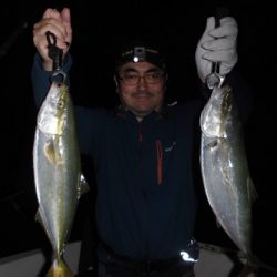 ルアー船マヒマヒ 釣果