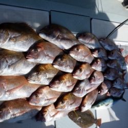 遊漁船 幸友丸 釣果