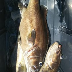 モンロー号 釣果