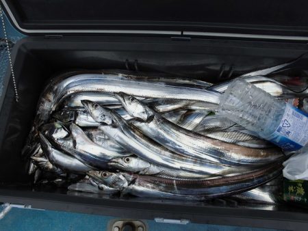 十八宝洋丸 釣果