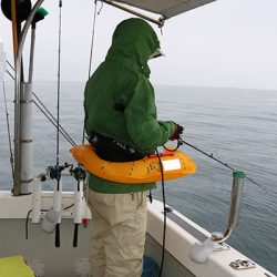 松本釣船２ 釣果