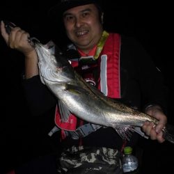 ルアー船マヒマヒ 釣果