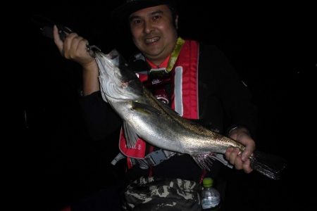 ルアー船マヒマヒ 釣果