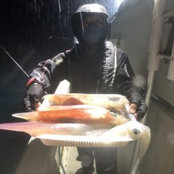 オーシャンズ　京都 釣果