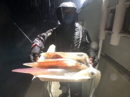 オーシャンズ　京都 釣果