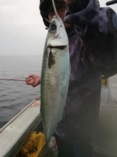 松福丸 釣果