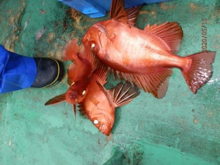 第二むつ漁丸 釣果