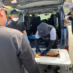 さんさん丸 釣果