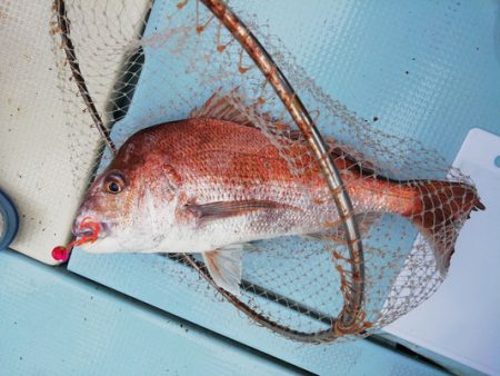 さんさん丸 釣果