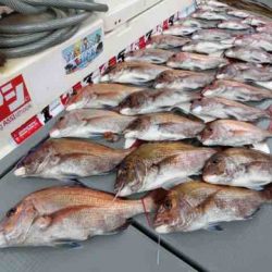 遊漁船 セトマリン 釣果