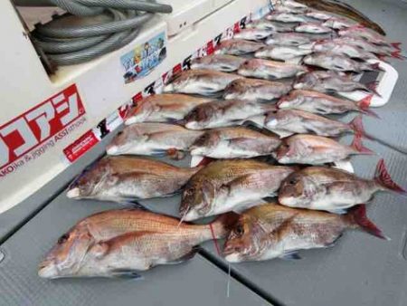 遊漁船 セトマリン 釣果