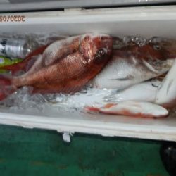 第二むつ漁丸 釣果