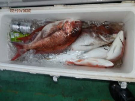 第二むつ漁丸 釣果