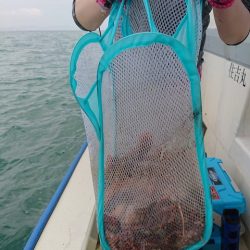 たかみ丸 釣果