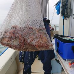 たかみ丸 釣果