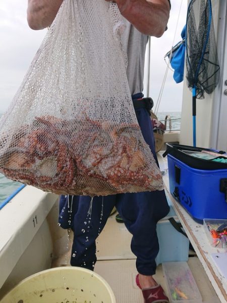 たかみ丸 釣果