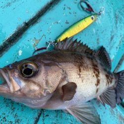 広進丸 釣果