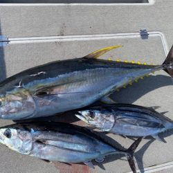 へいみつ丸 釣果