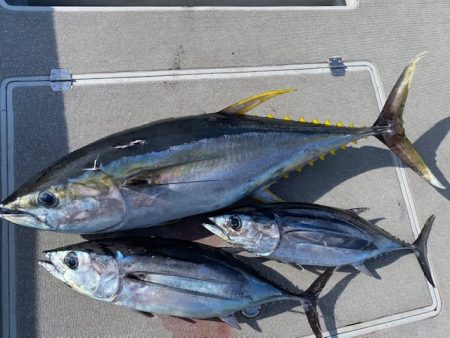 へいみつ丸 釣果