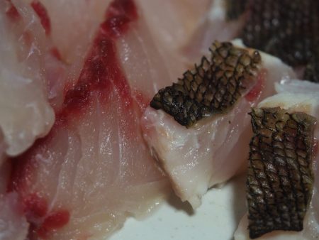 「LaGooN」蒼陽丸 日和号 釣果