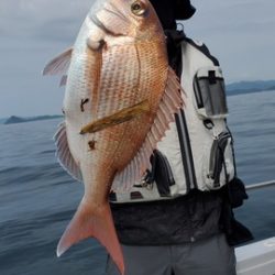 遊漁船 ニライカナイ 釣果