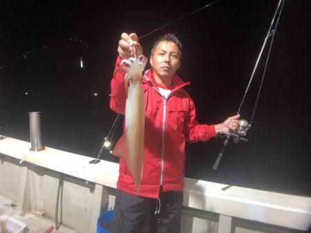 オーシャンズ　京都 釣果