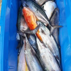 第五慶門丸 釣果