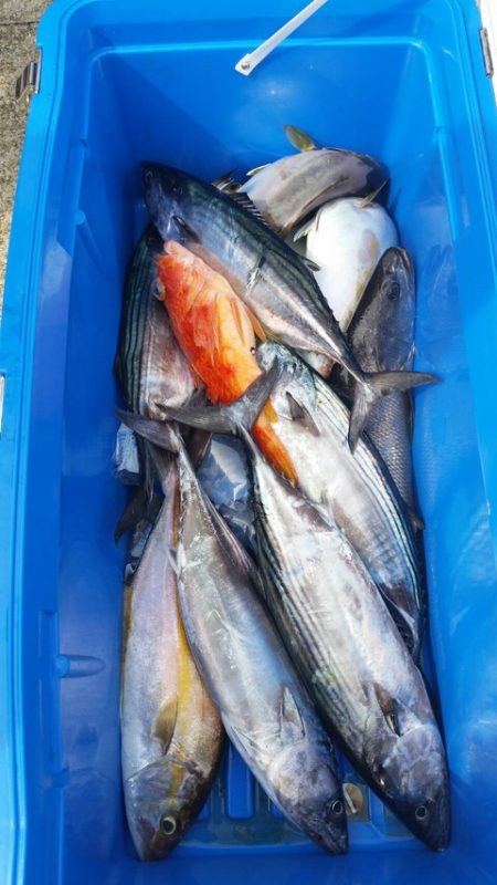 第五慶門丸 釣果