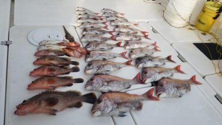 暁〜akatsuki〜 釣果